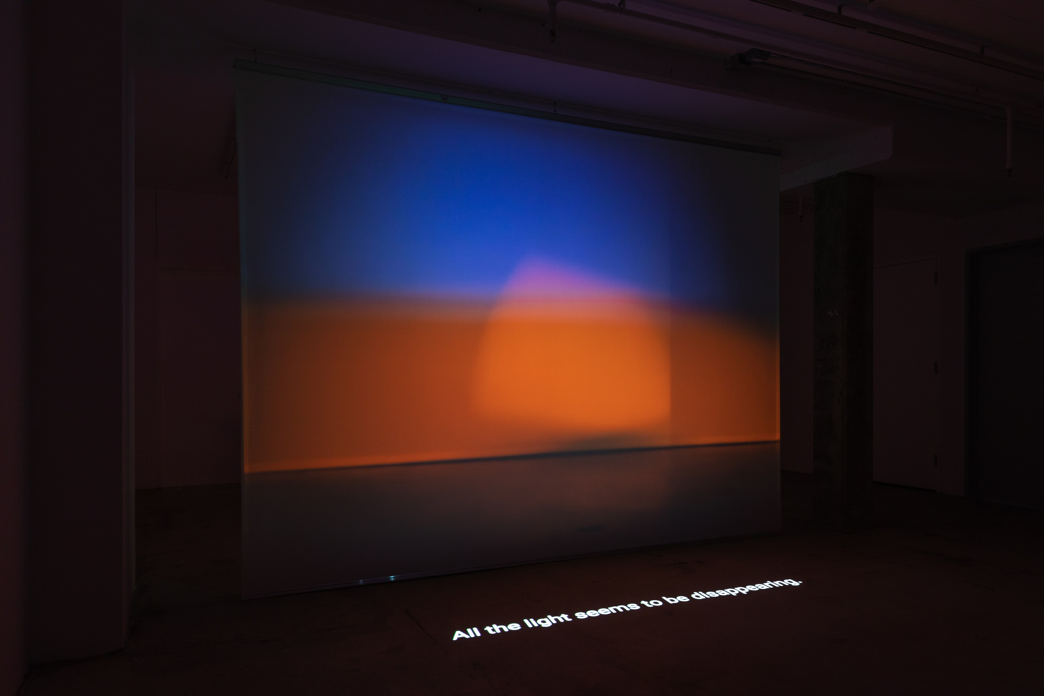 Shen Xin, ས་གཞི་སྔོན་པོ་འགྱུར། (THE EARTH TURNED GREEN) at Swiss Institute, photo 10