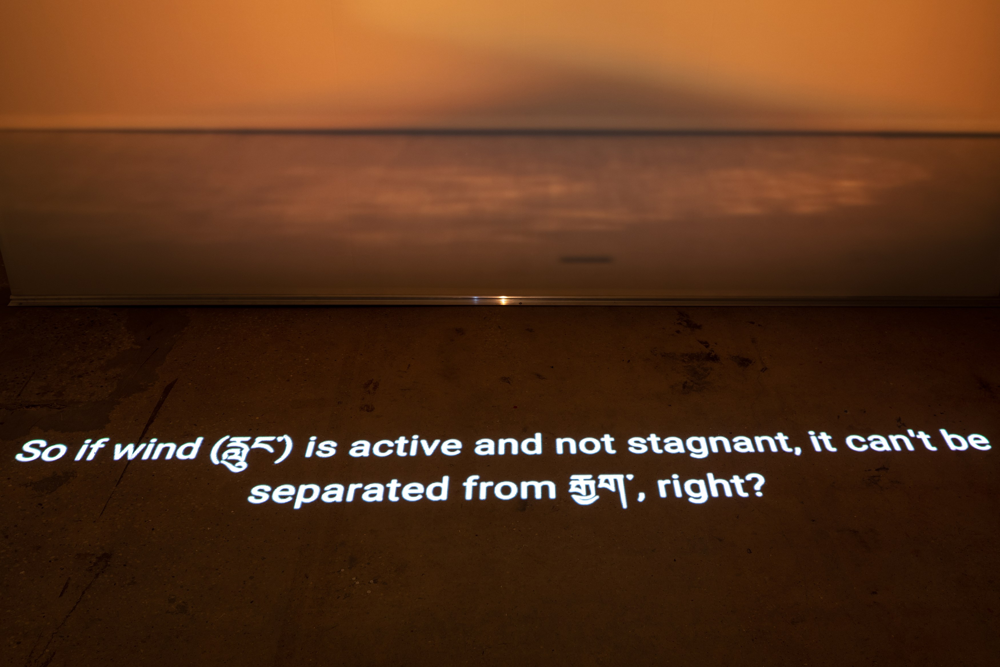 Shen Xin, ས་གཞི་སྔོན་པོ་འགྱུར། (THE EARTH TURNED GREEN) at Swiss Institute, photo 11