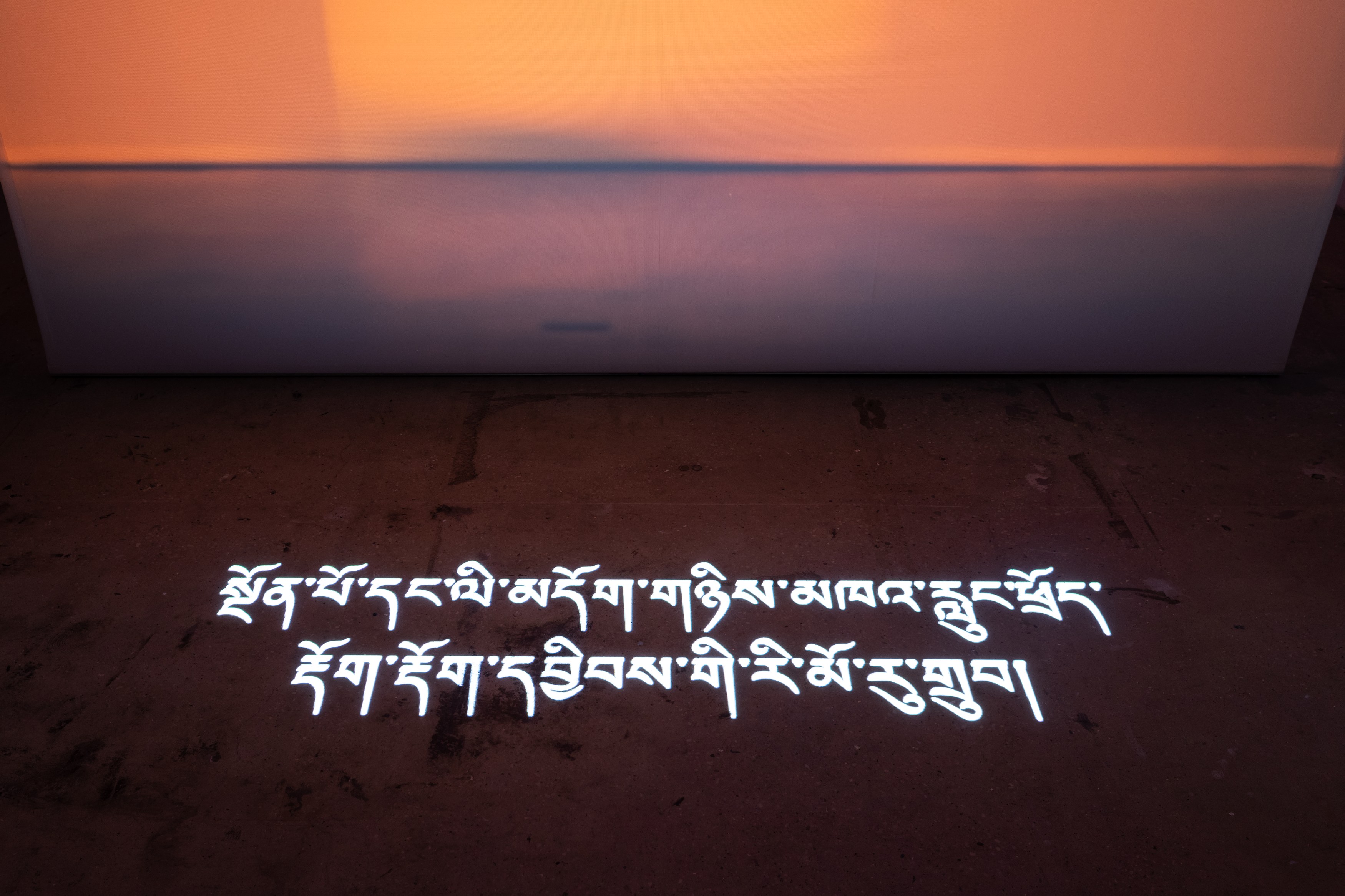 Shen Xin, ས་གཞི་སྔོན་པོ་འགྱུར། (THE EARTH TURNED GREEN) at Swiss Institute, photo 12
