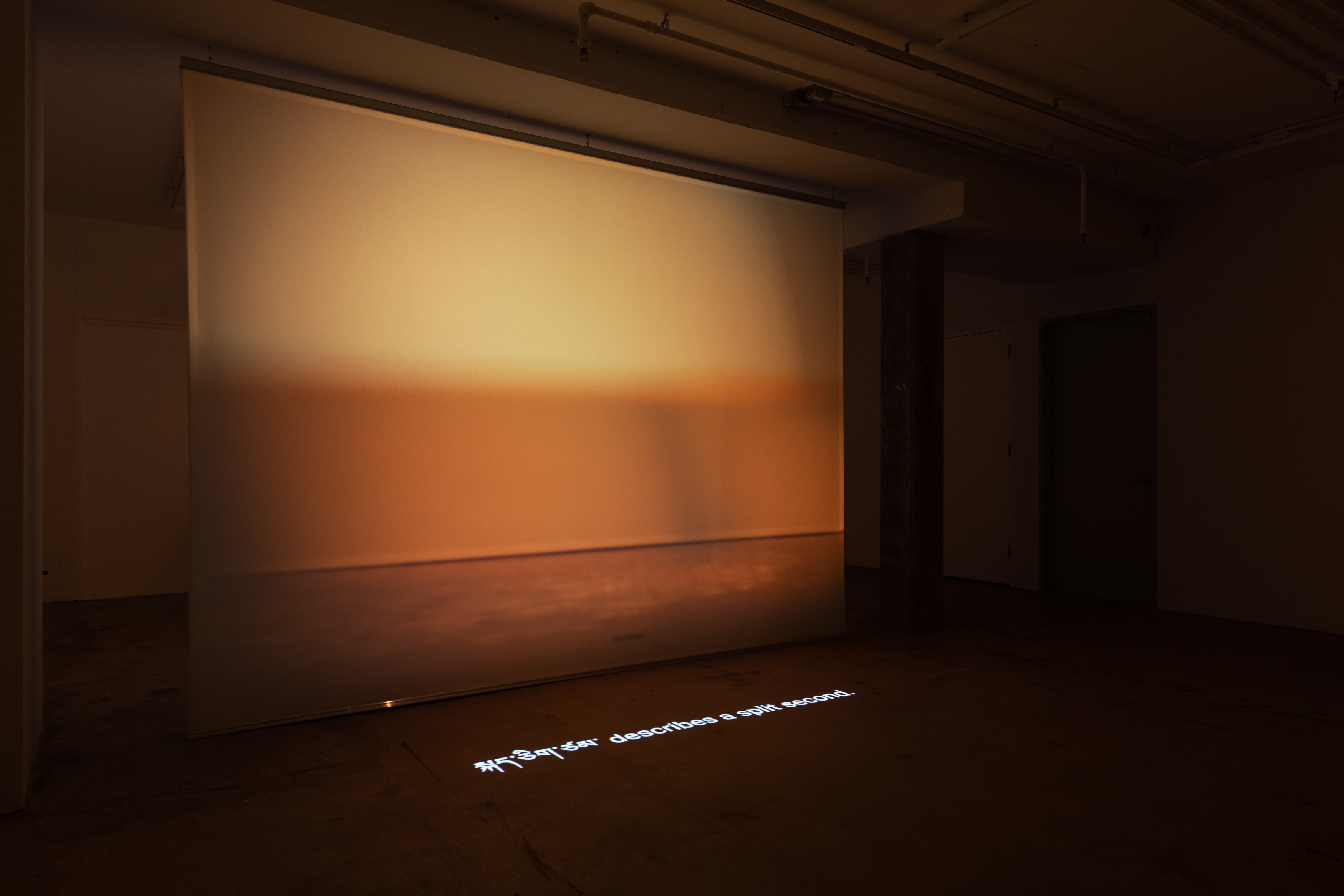 Shen Xin, ས་གཞི་སྔོན་པོ་འགྱུར། (THE EARTH TURNED GREEN) at Swiss Institute, photo 15