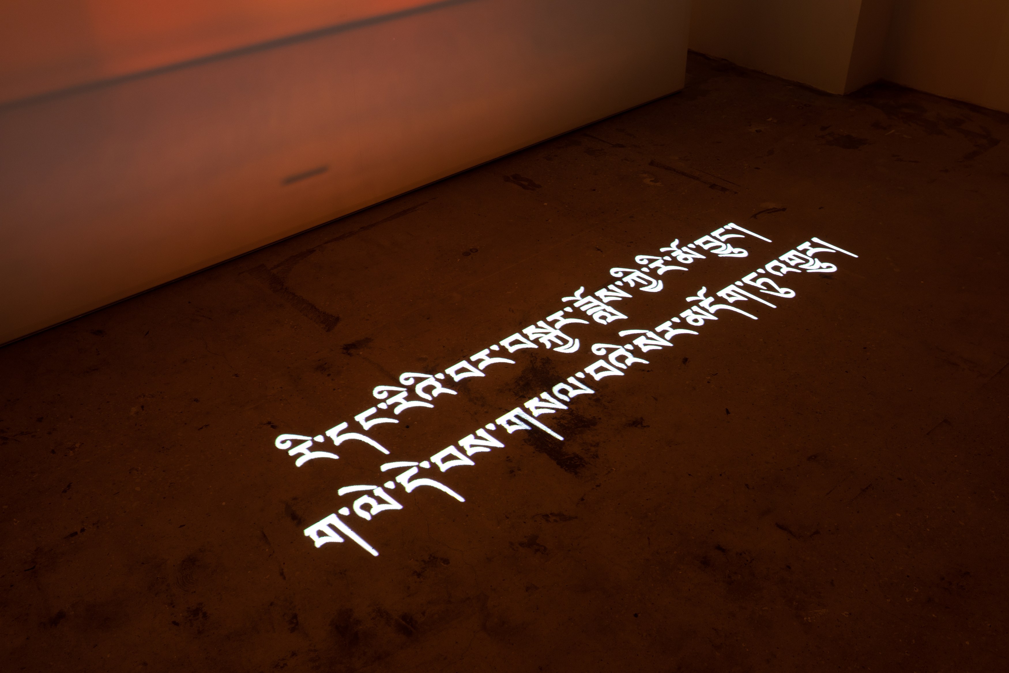 Shen Xin, ས་གཞི་སྔོན་པོ་འགྱུར། (THE EARTH TURNED GREEN) at Swiss Institute, photo 14