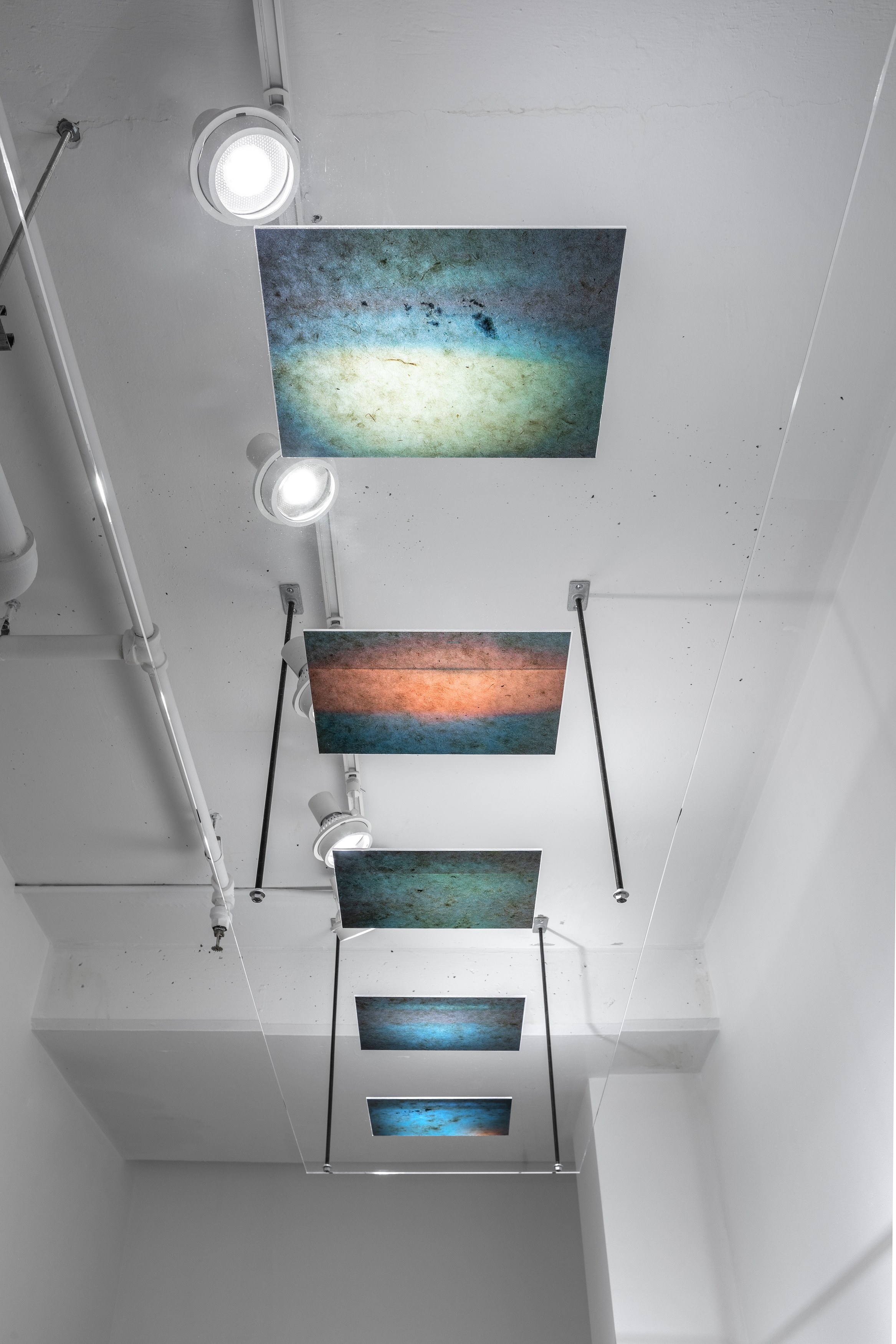 Shen Xin, ས་གཞི་སྔོན་པོ་འགྱུར། (THE EARTH TURNED GREEN) at Swiss Institute, photo 17