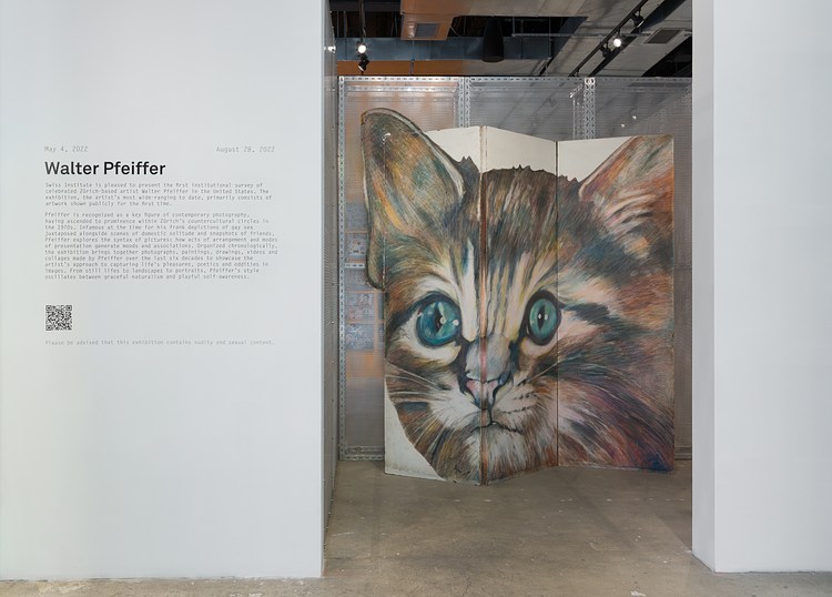 Walter Pfeiffer at Swiss Institute, New York | Contemporary Art
