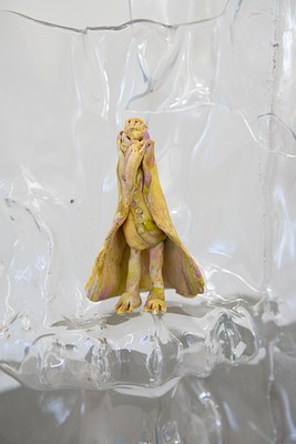 Image 15 of 24