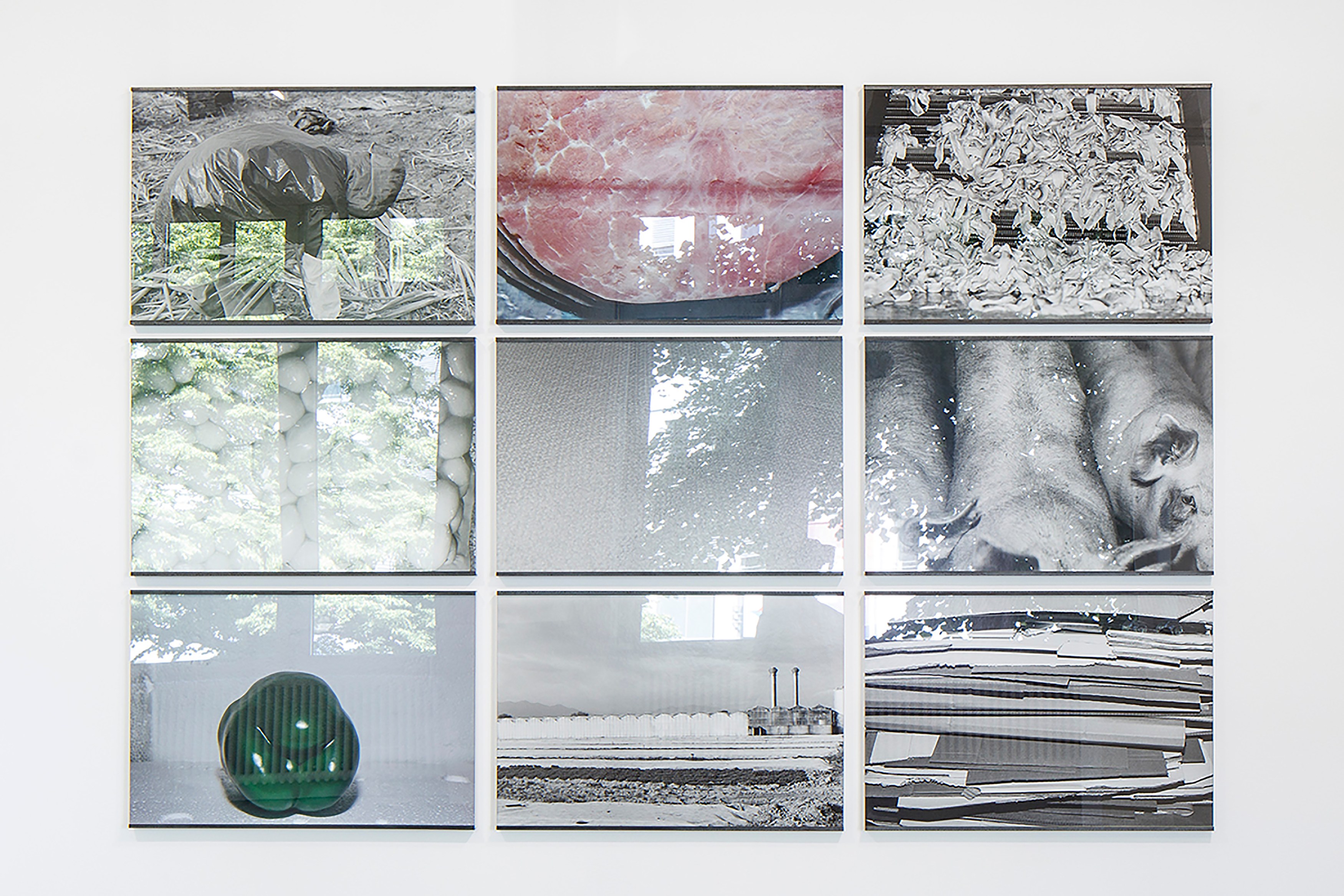 To Light, Shadow and Dust, To Light, Shadow and Dust at Galerie Nordenhake, photo 28