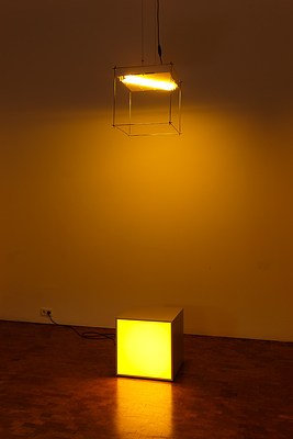 Image 5 of 13