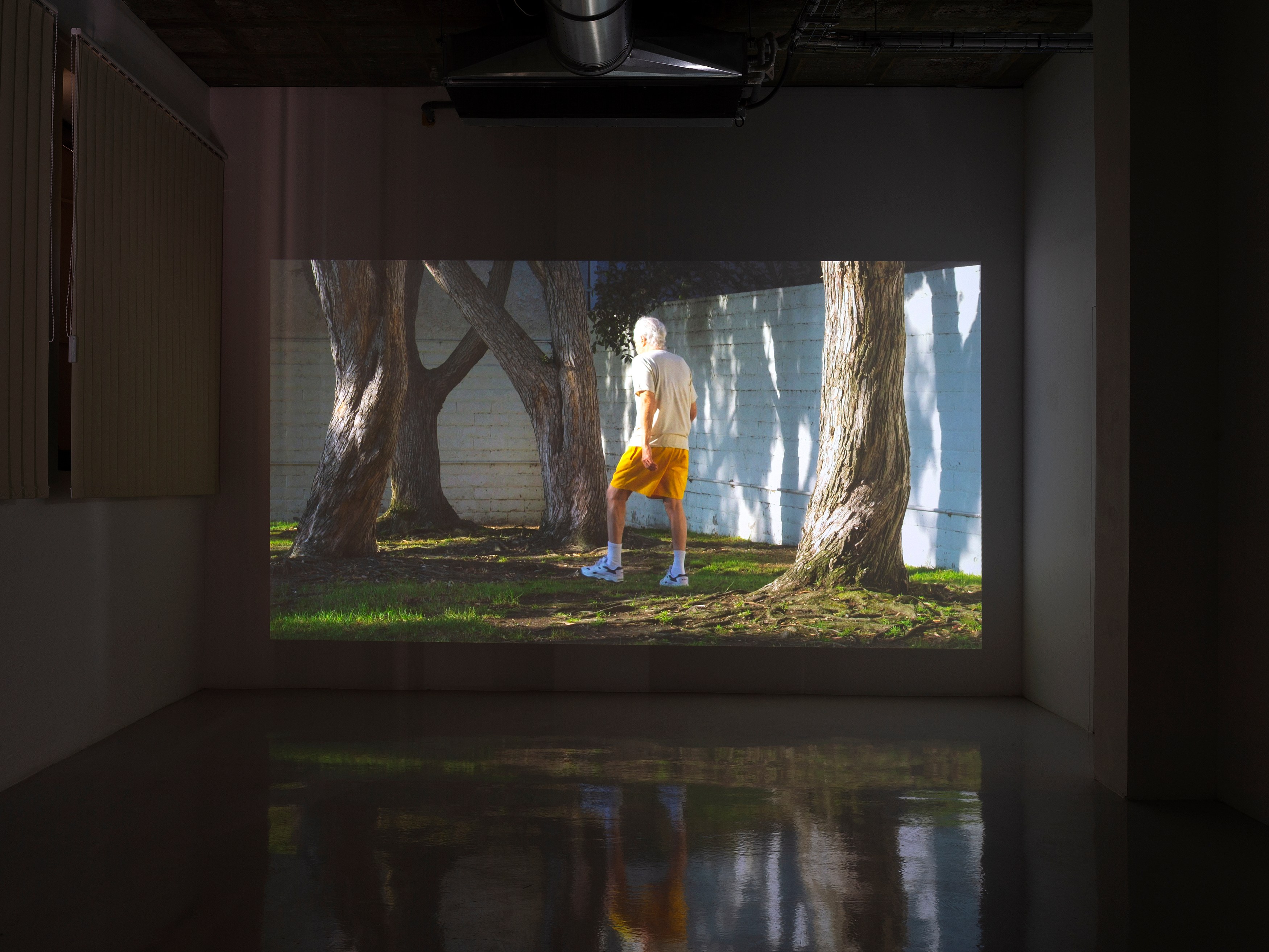 Torbjørn Rødland, Theatre of Immediacy at Air de Paris, photo 13