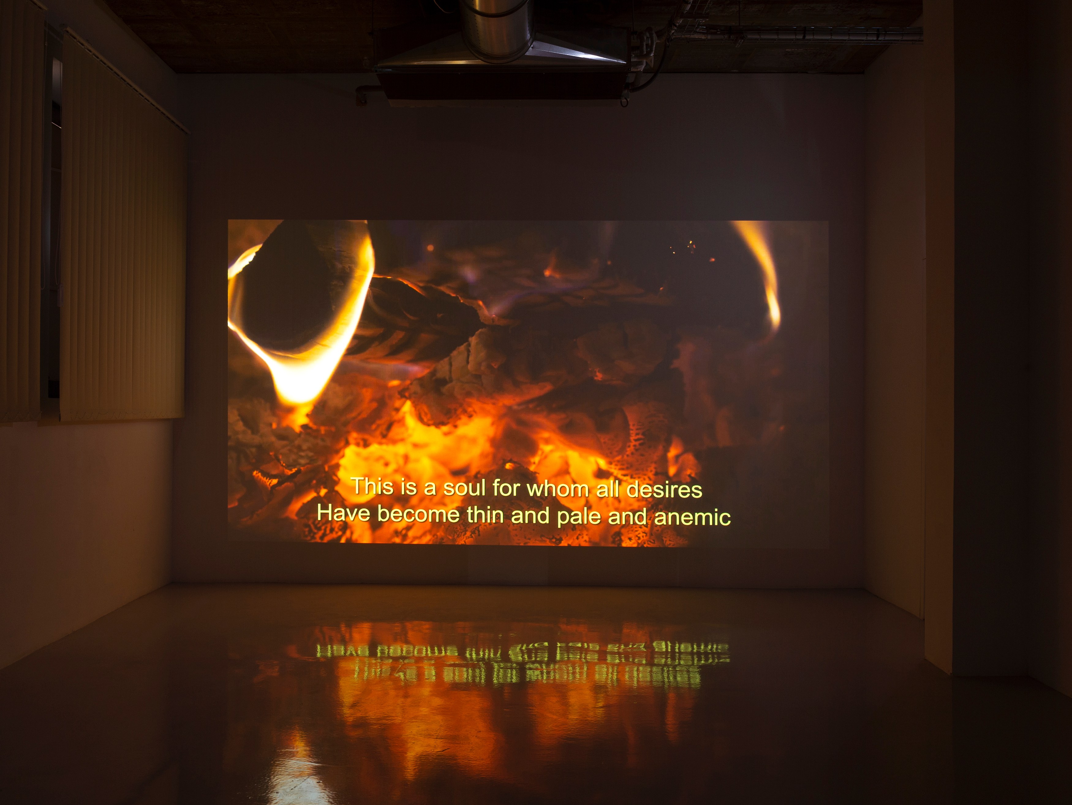 Torbjørn Rødland, Theatre of Immediacy at Air de Paris, photo 17