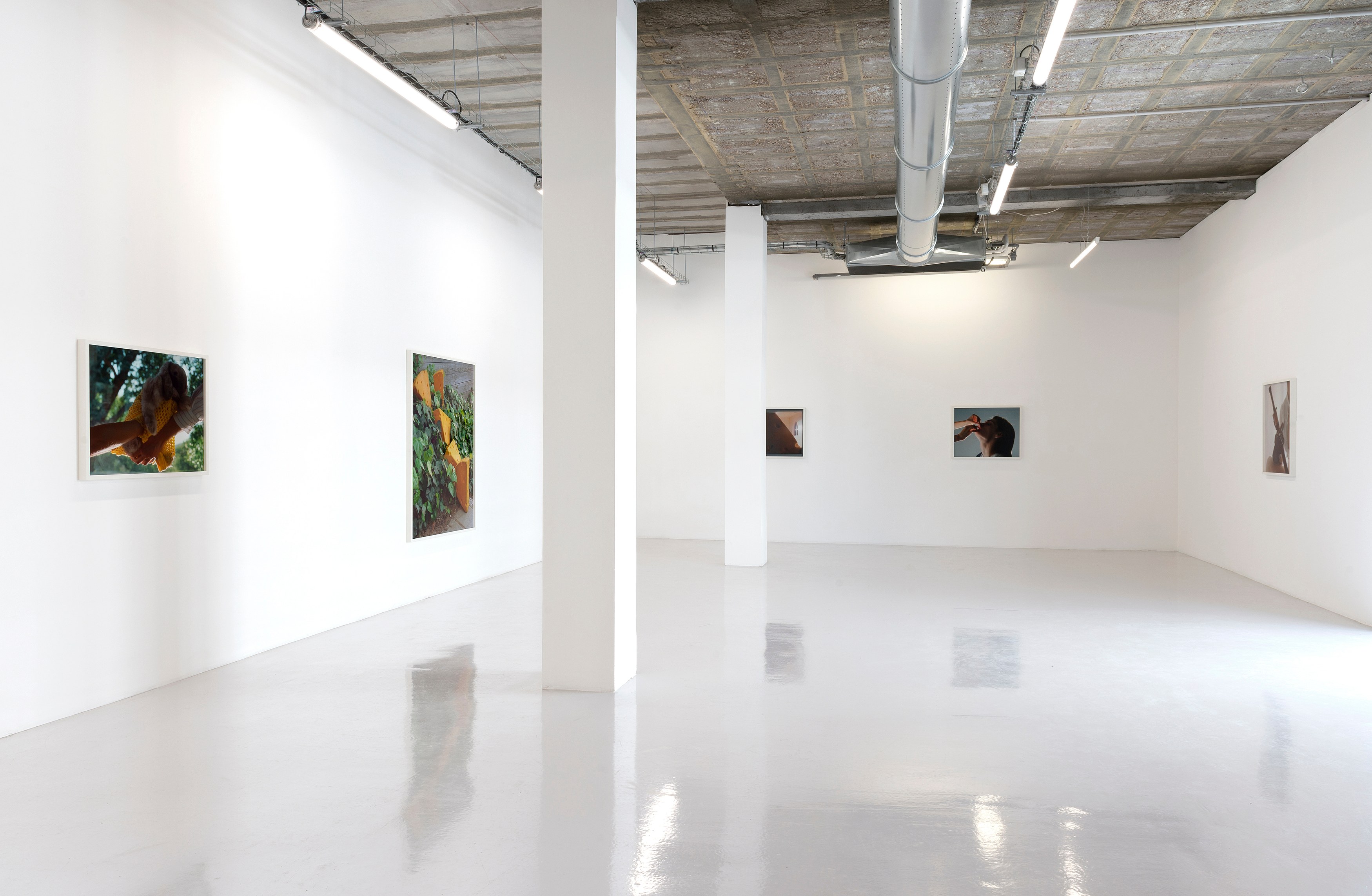 Torbjørn Rødland, Theatre of Immediacy at Air de Paris, photo 2