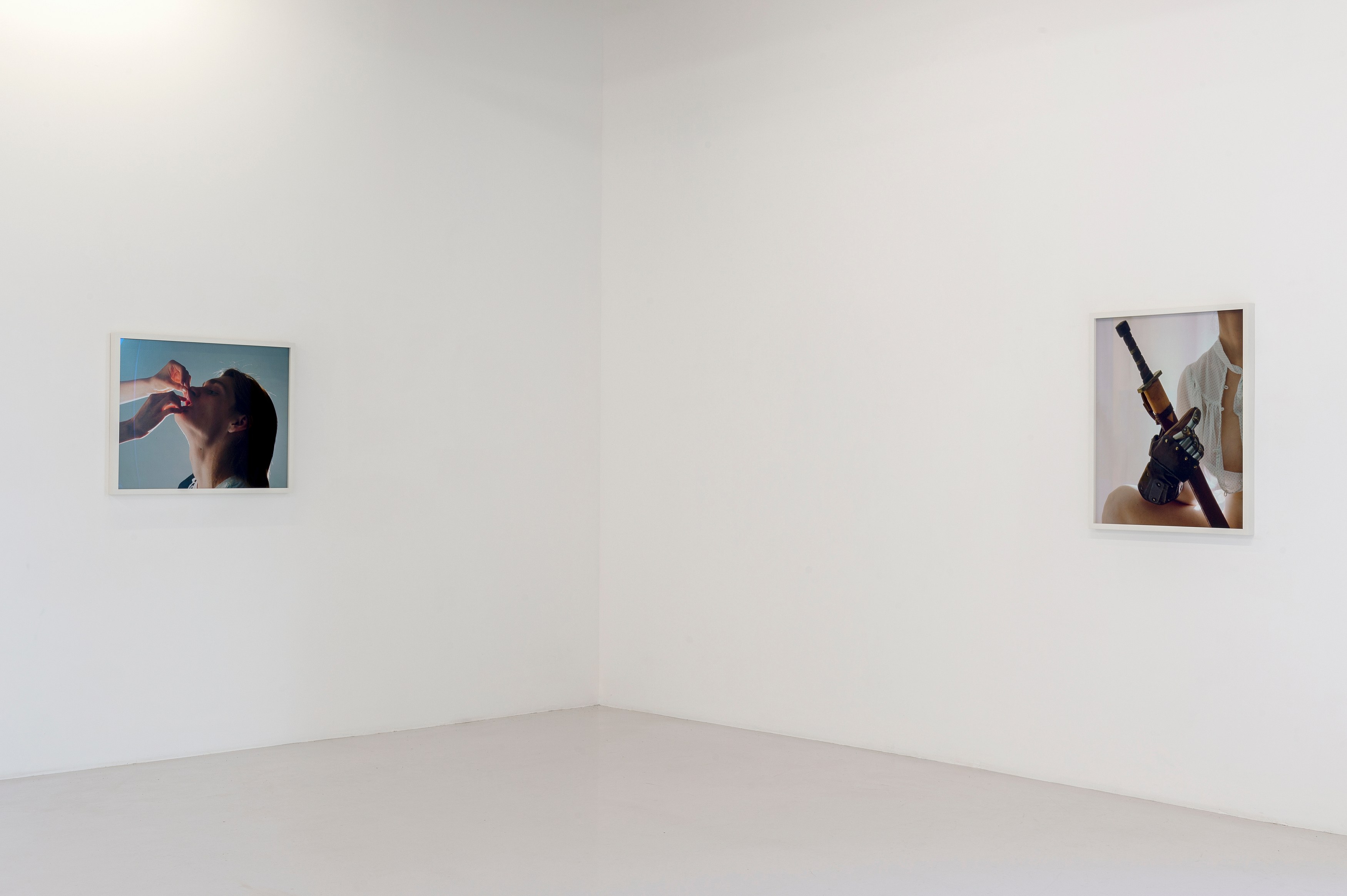 Torbjørn Rødland, Theatre of Immediacy at Air de Paris, photo 4