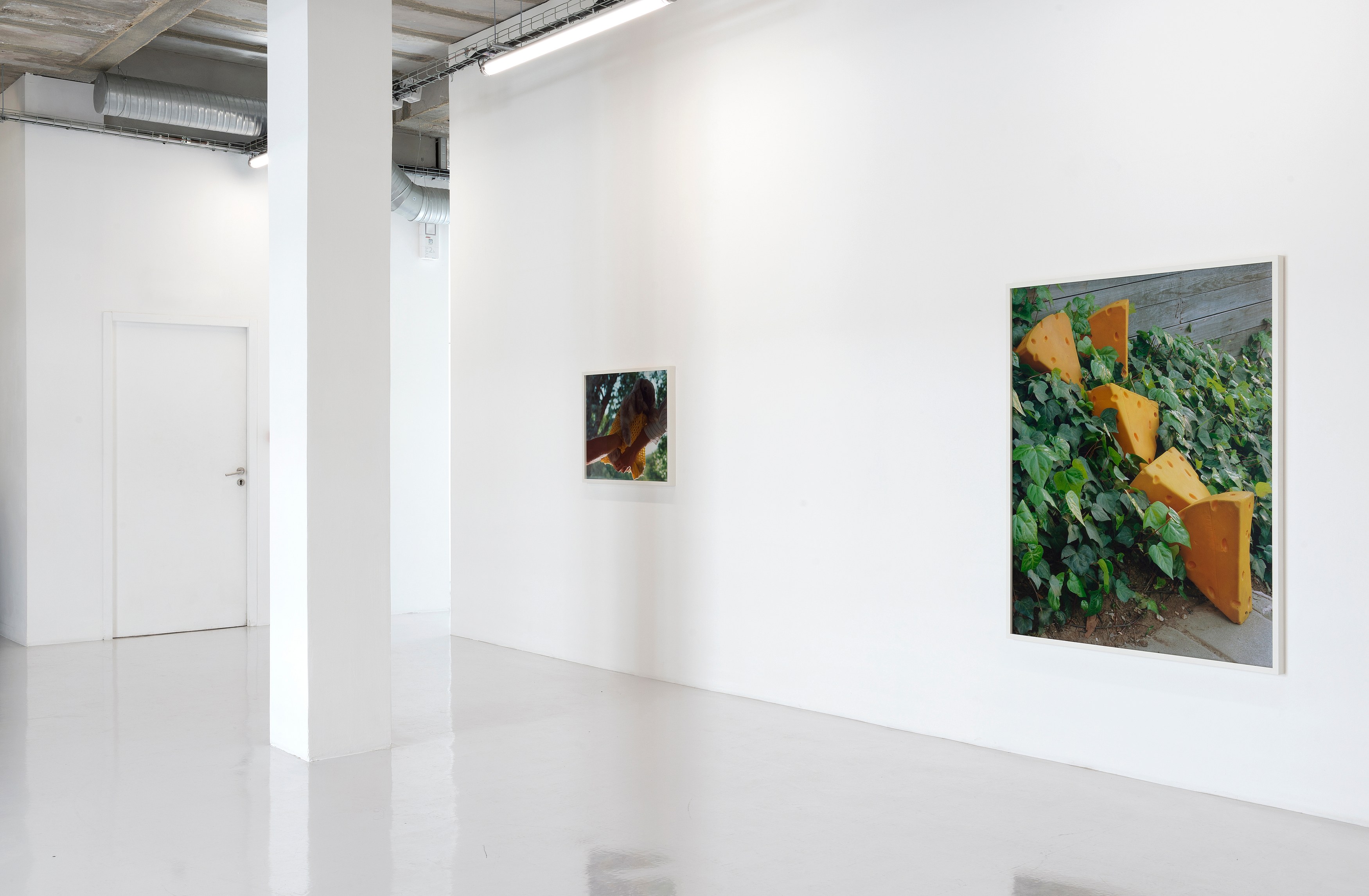 Torbjørn Rødland, Theatre of Immediacy at Air de Paris, photo 6