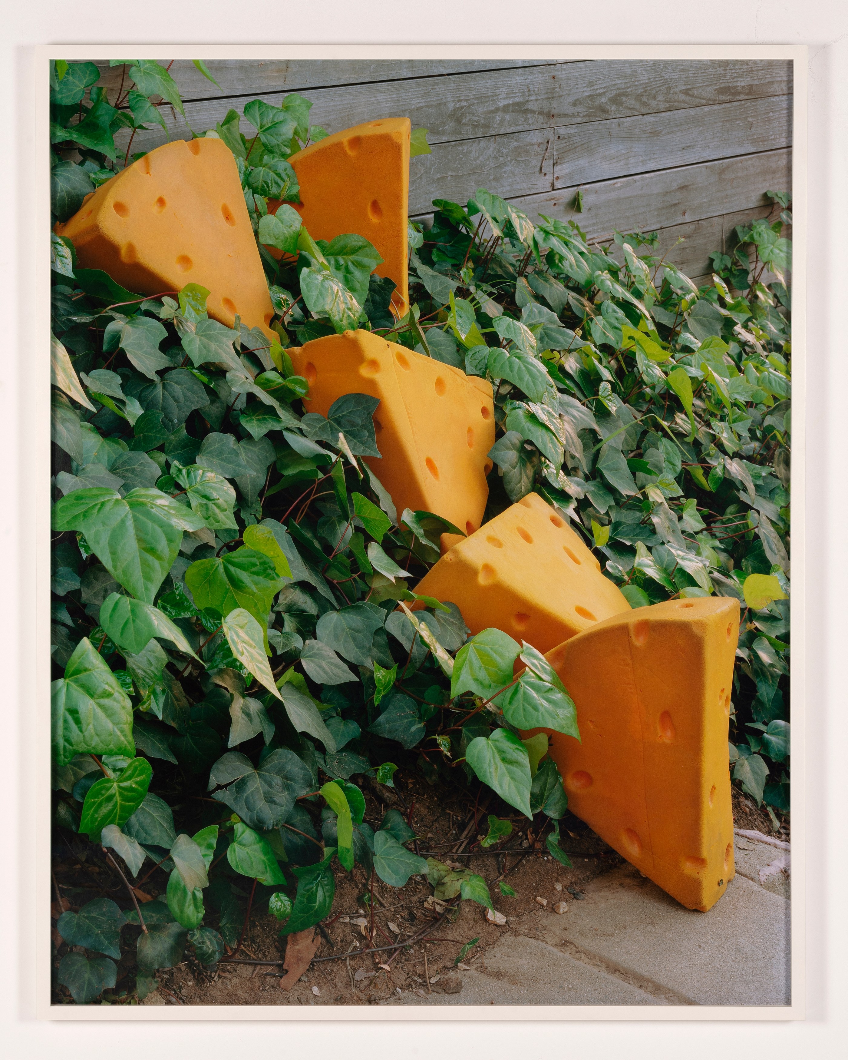 Torbjørn Rødland, Theatre of Immediacy at Air de Paris, photo 7