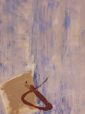 Image 16 of 41