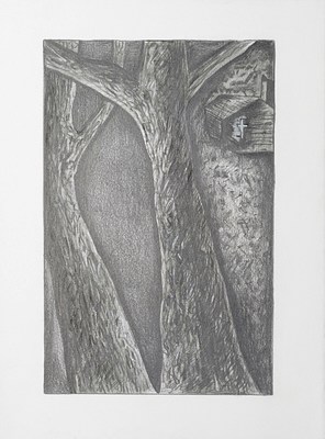 Image 10 of 32