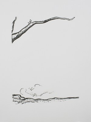 Image 11 of 32