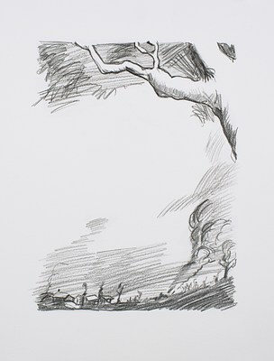Image 12 of 32