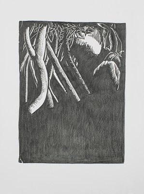 Image 15 of 32
