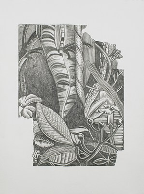 Image 29 of 32