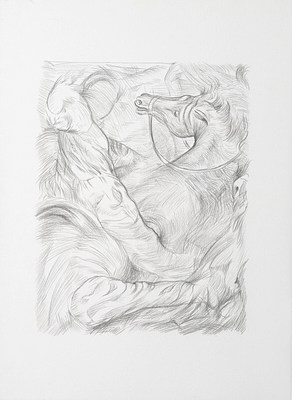 Image 31 of 32