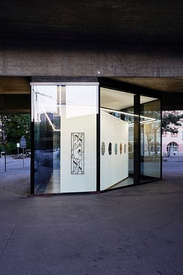 Image 3 of 10