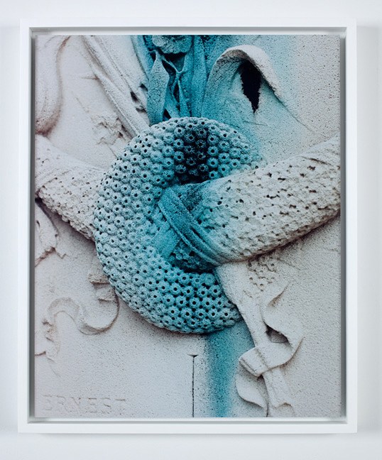 Eileen Quinlan, Nature Morte at Miguel Abreu, New York (88 Eldridge Street, 36 Orchard Street), photo 8