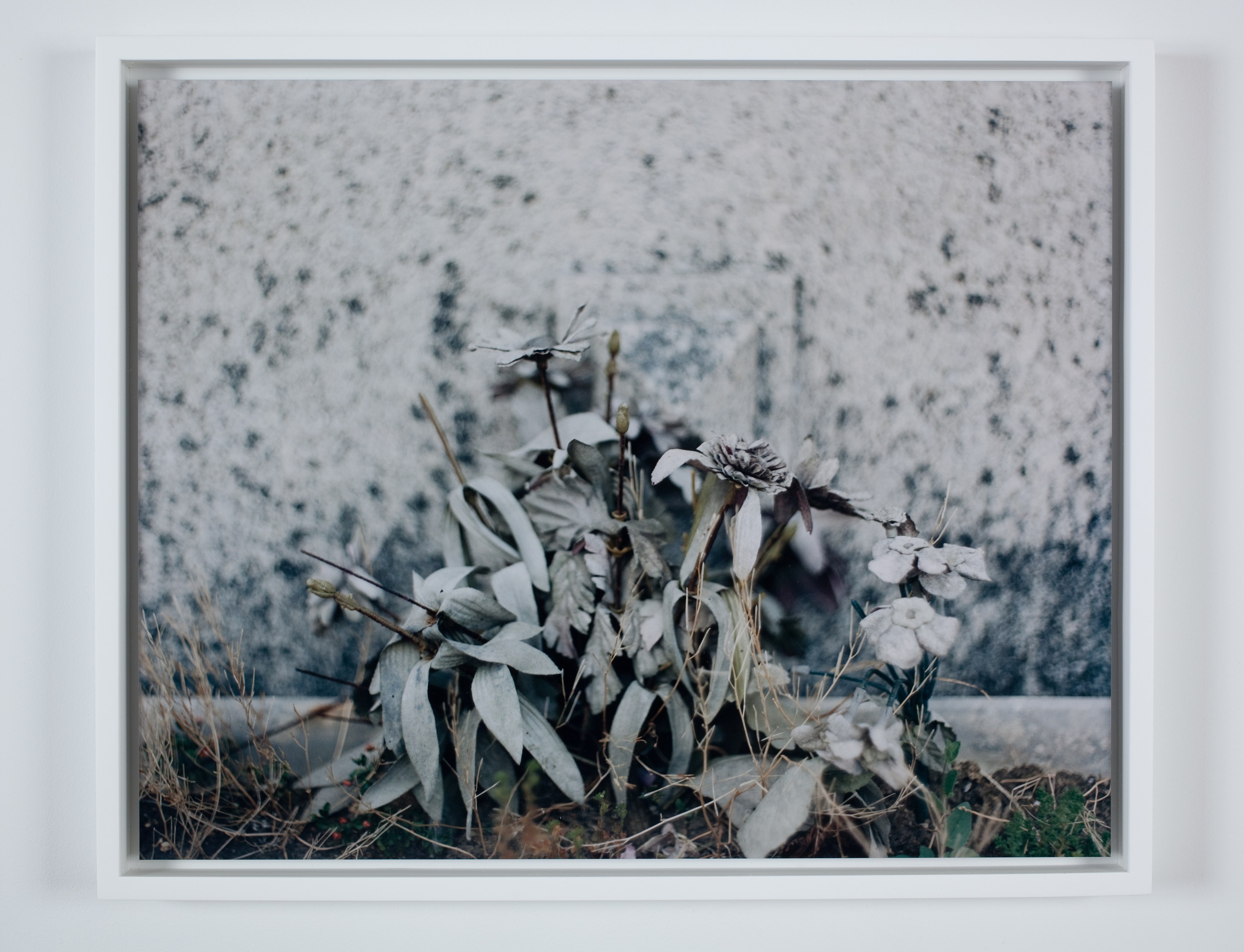 Eileen Quinlan, Nature Morte at Miguel Abreu, New York (88 Eldridge Street, 36 Orchard Street), photo 9