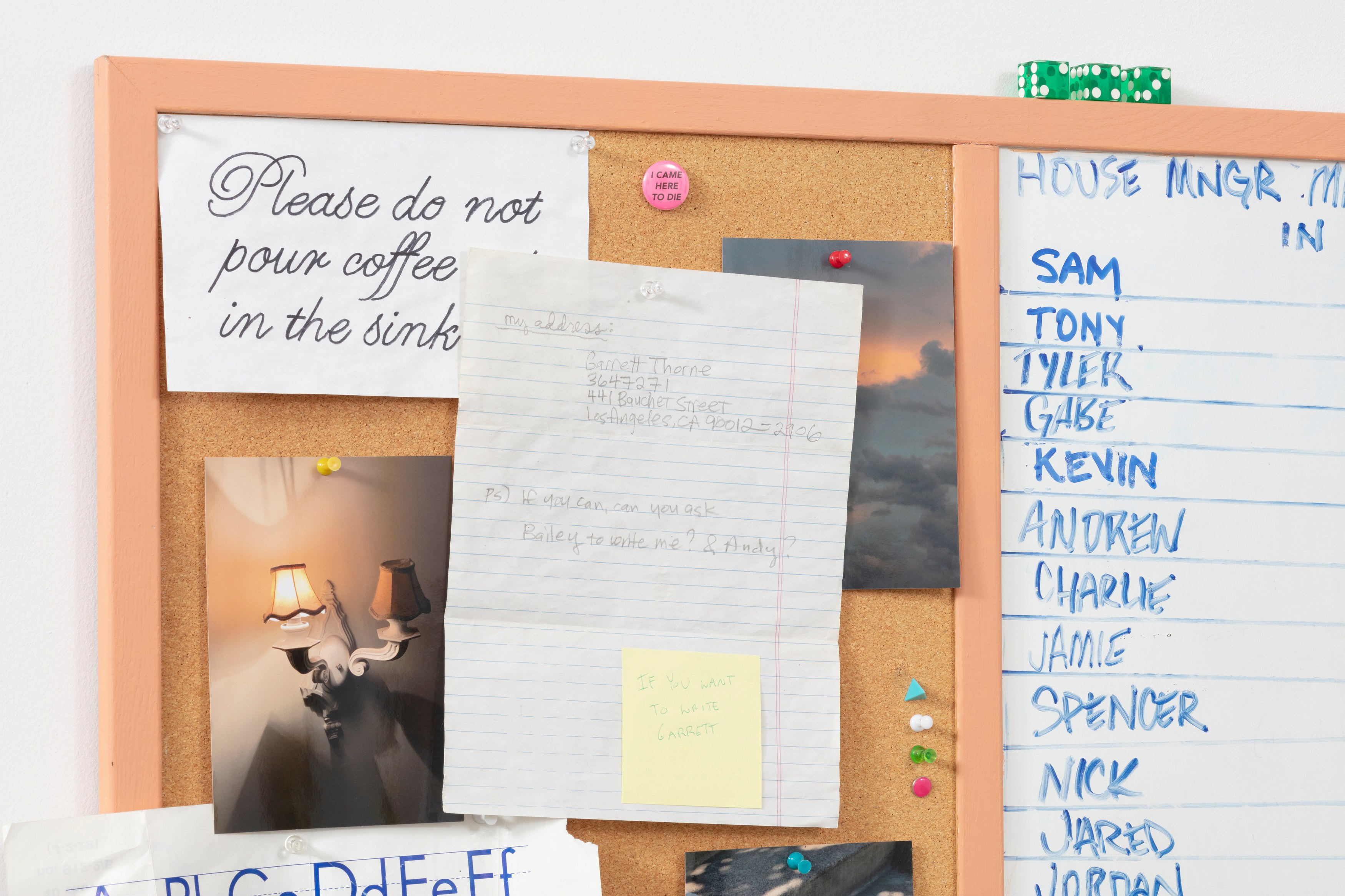 Kevin O‘Meara, The Housemate at The Fulcrum, photo 13