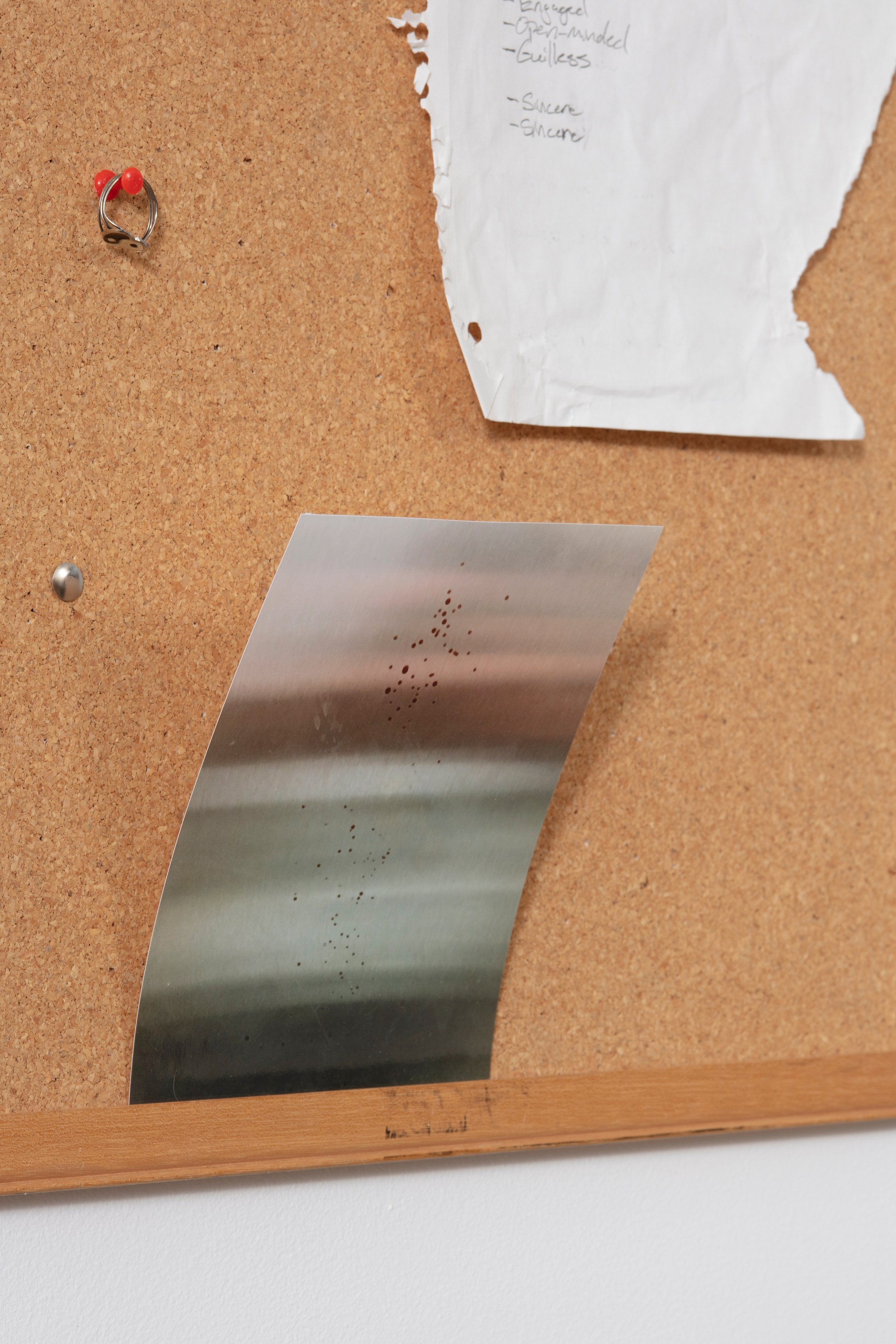 Kevin O‘Meara, The Housemate at The Fulcrum, photo 41