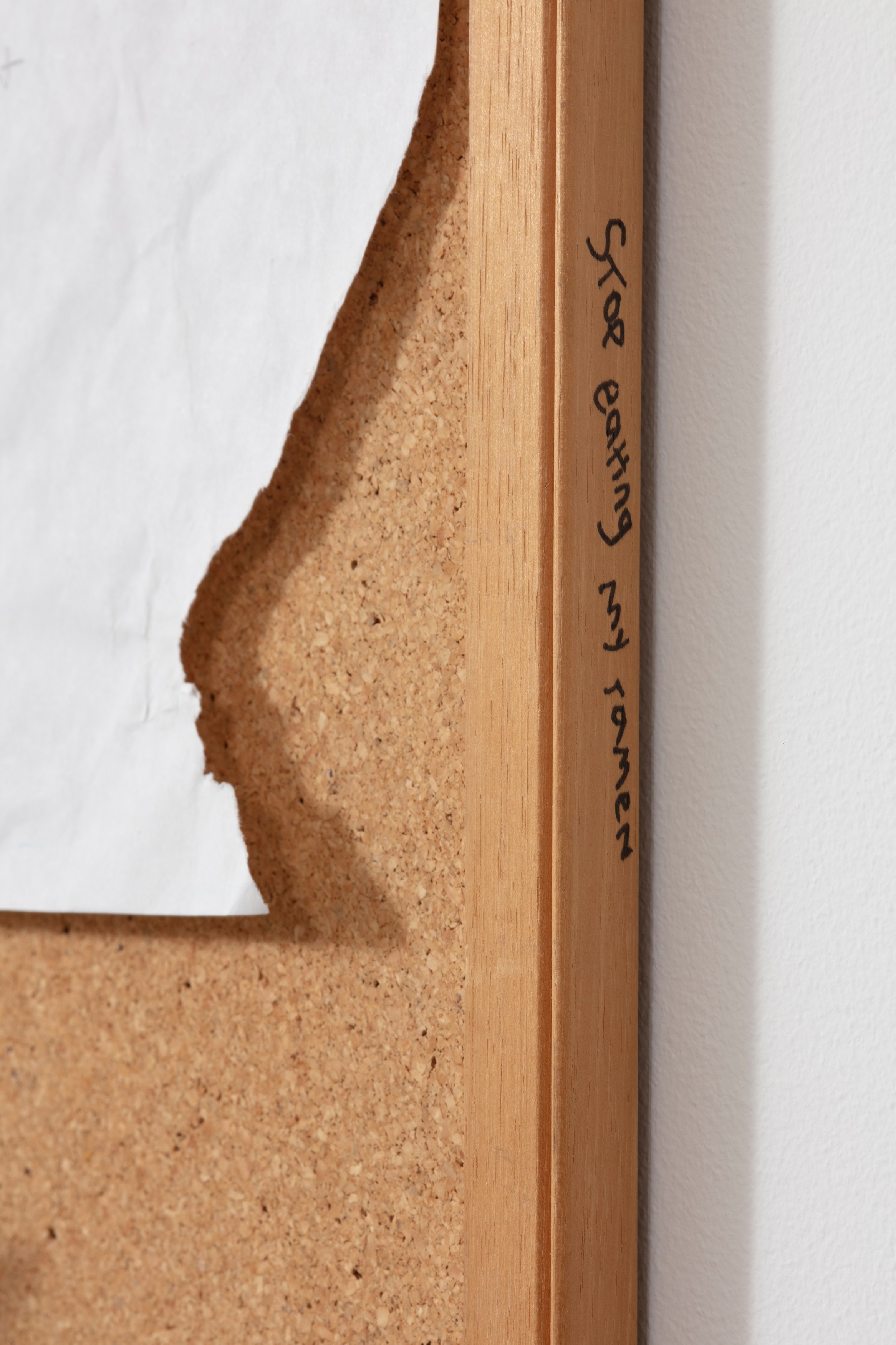 Kevin O‘Meara, The Housemate at The Fulcrum, photo 45