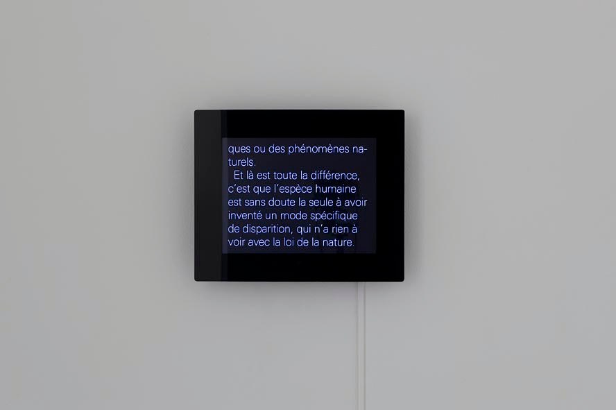 Pierre Joseph, Shimabuku, Pierre Joseph: From Apple Core to Glass | Shimabuku: Kaki and Tomato at Air de Paris, photo 20