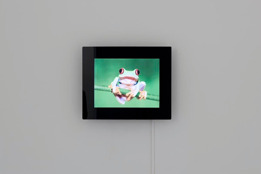 Pierre Joseph, Shimabuku, Pierre Joseph: From Apple Core to Glass | Shimabuku: Kaki and Tomato at Air de Paris, photo 21