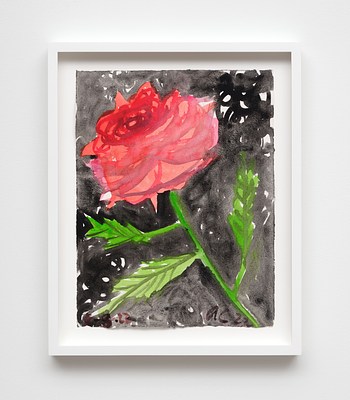 Image 4 of 19