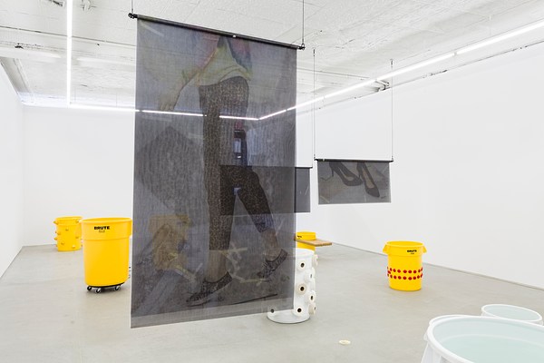 Image 4 of 25