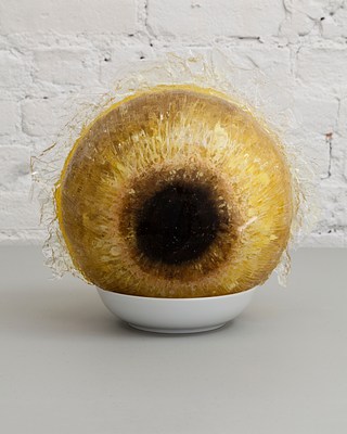 Image 11 of 25
