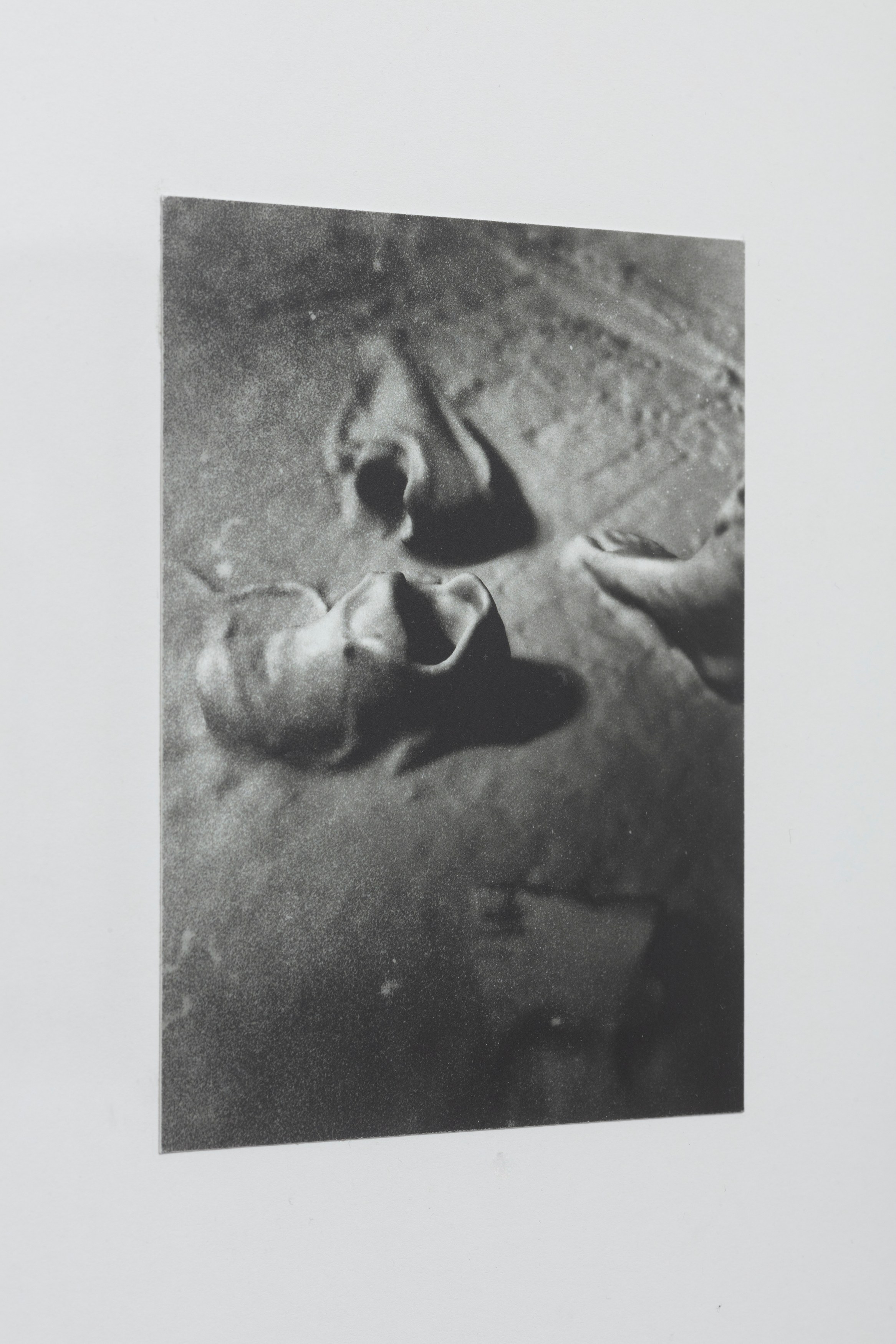 Max Cleary, Megan Mueller, Laura Schawelka, After Afterlife at The Fulcrum, photo 27