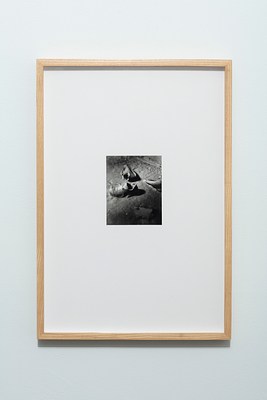Image 11 of 40