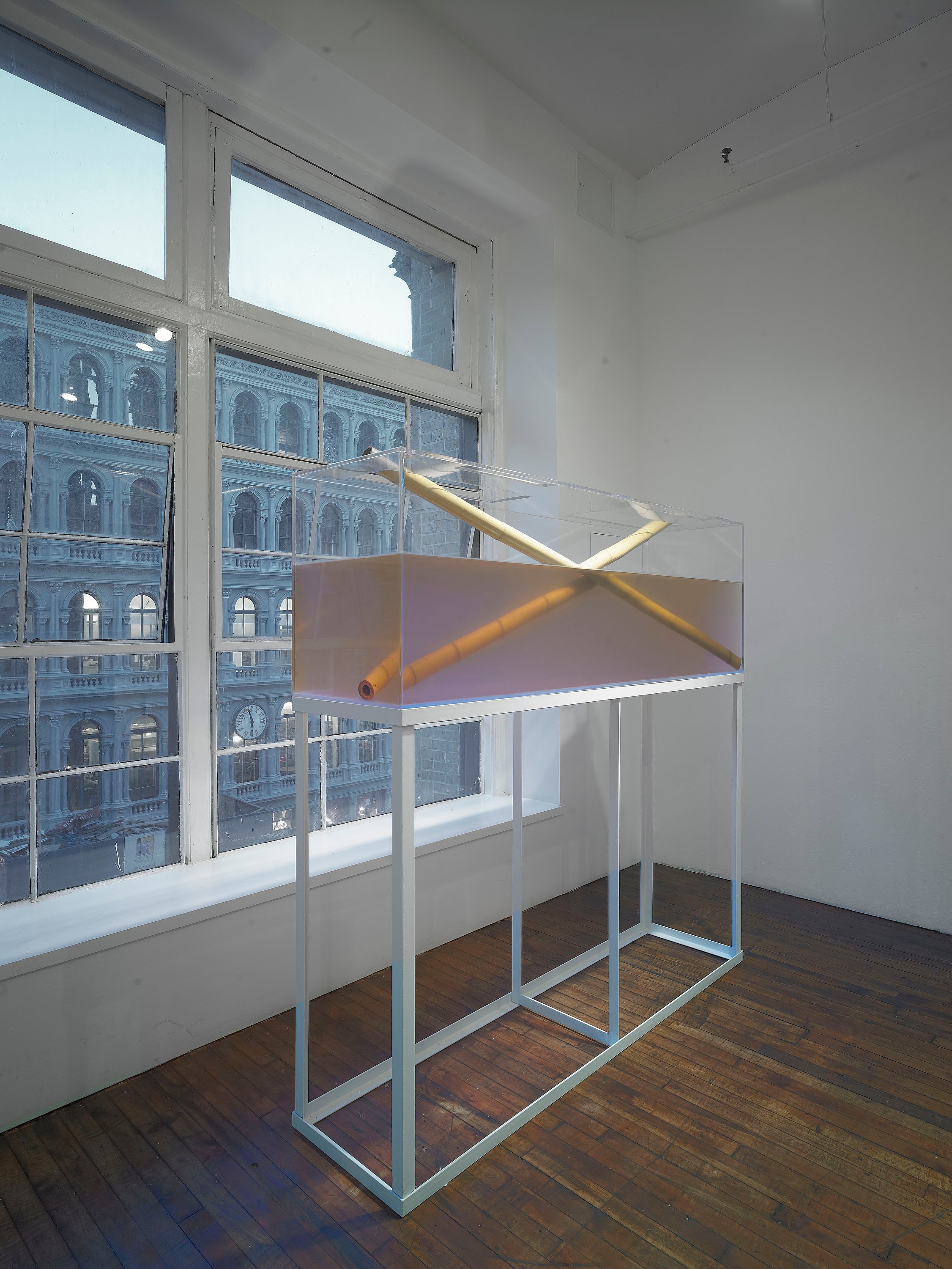 Tobias Madison, Hydrate + Perform / Yes I Can! The Movie: A Preview at Swiss Institute, photo 26