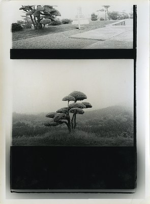 Nobuyoshi Araki | Contemporary Art Library