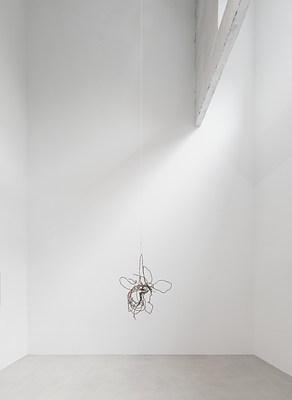 Image 4 of 20