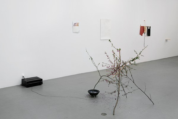 Image 7 of 35
