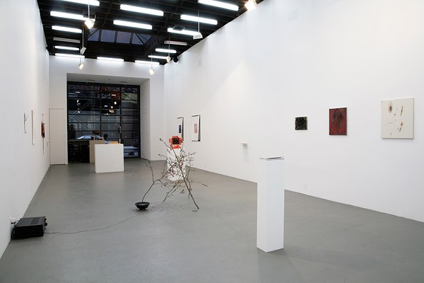 Image 10 of 35