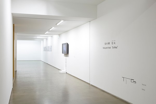 Image 1 of 16