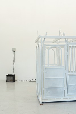 Image 4 of 11