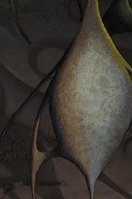 Image 29 of 46