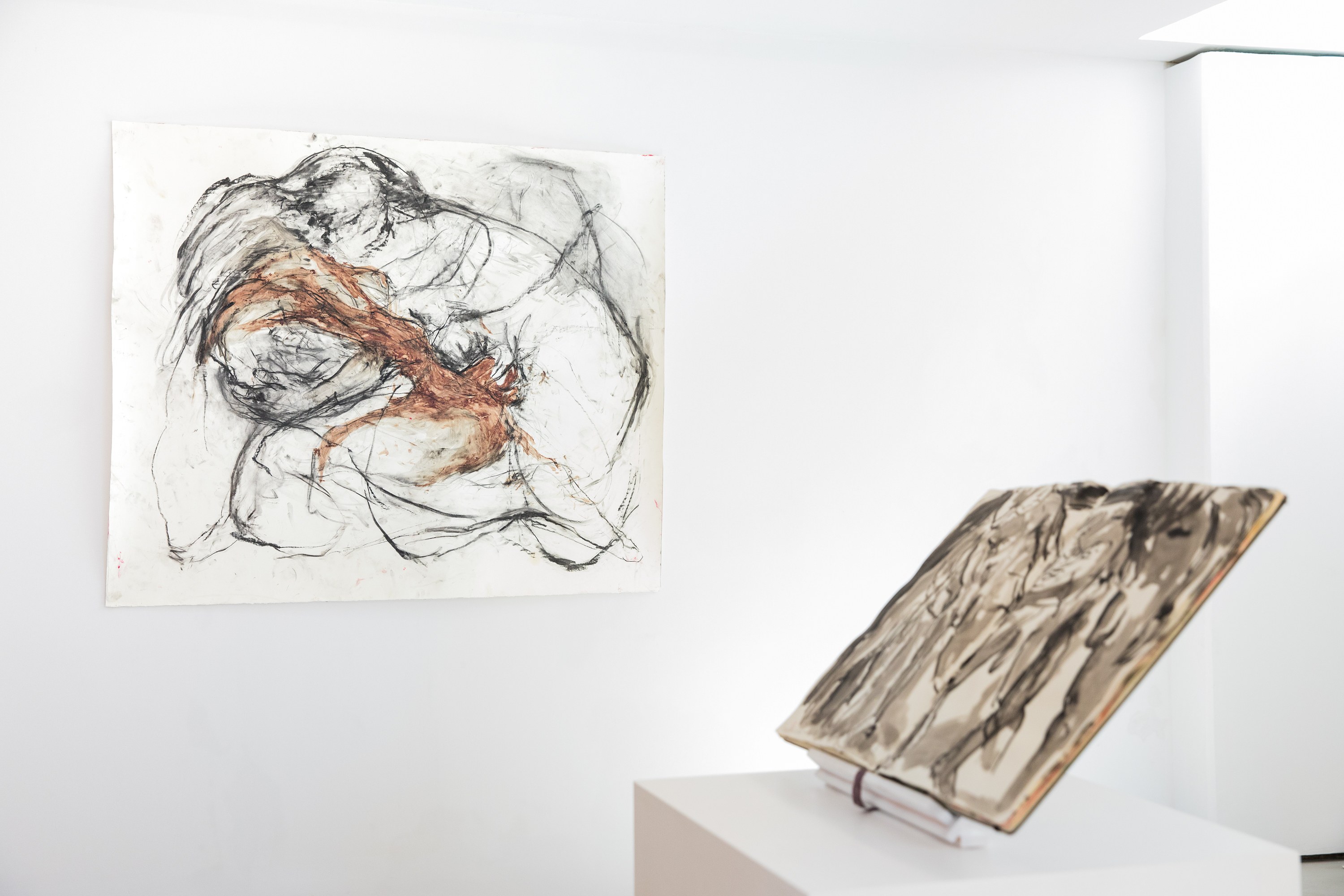 Mercedes Llanos, Sueños at Galerie Balice Hertling, photo 21