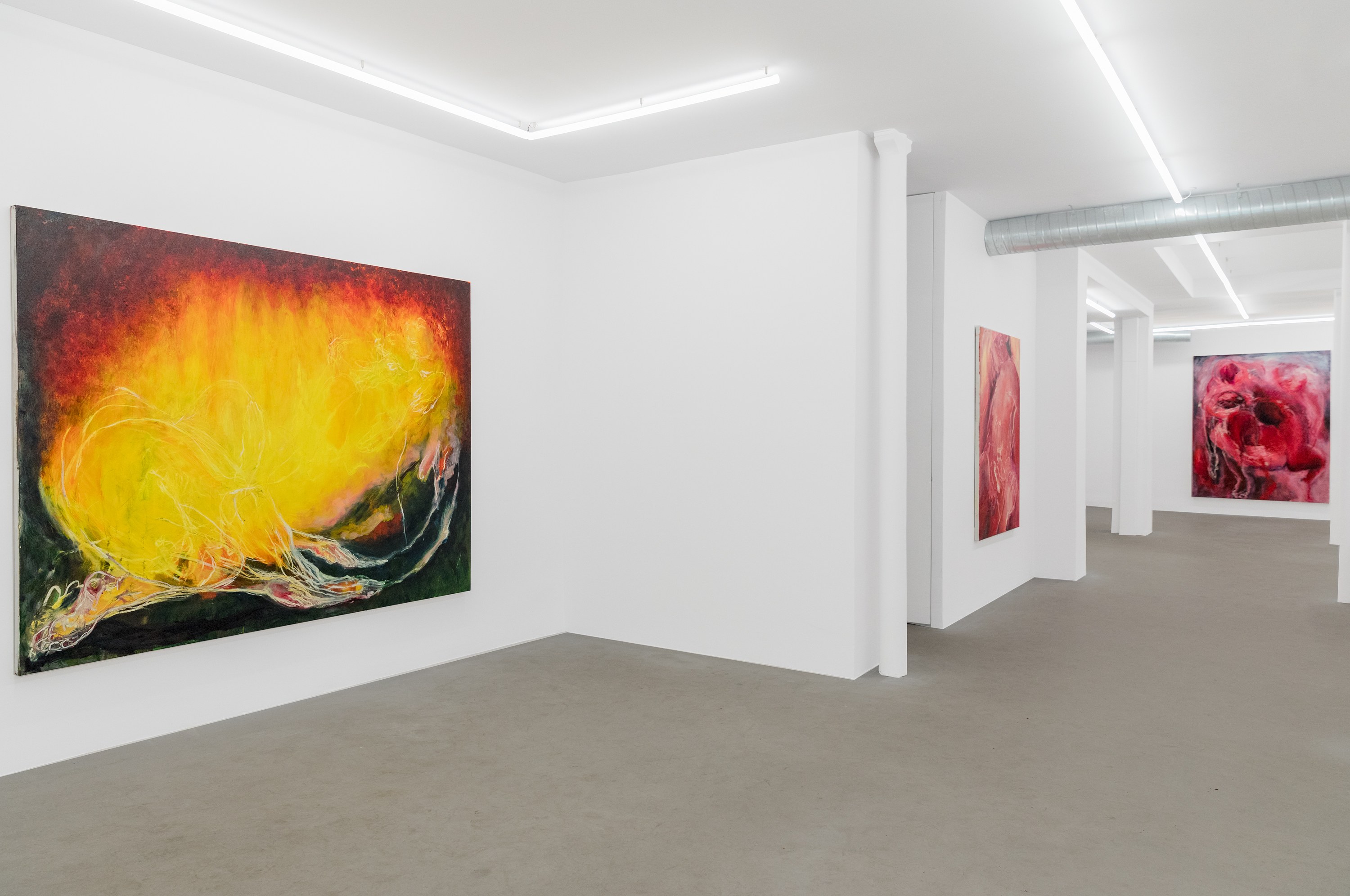 Mercedes Llanos, Sueños at Galerie Balice Hertling, photo 6