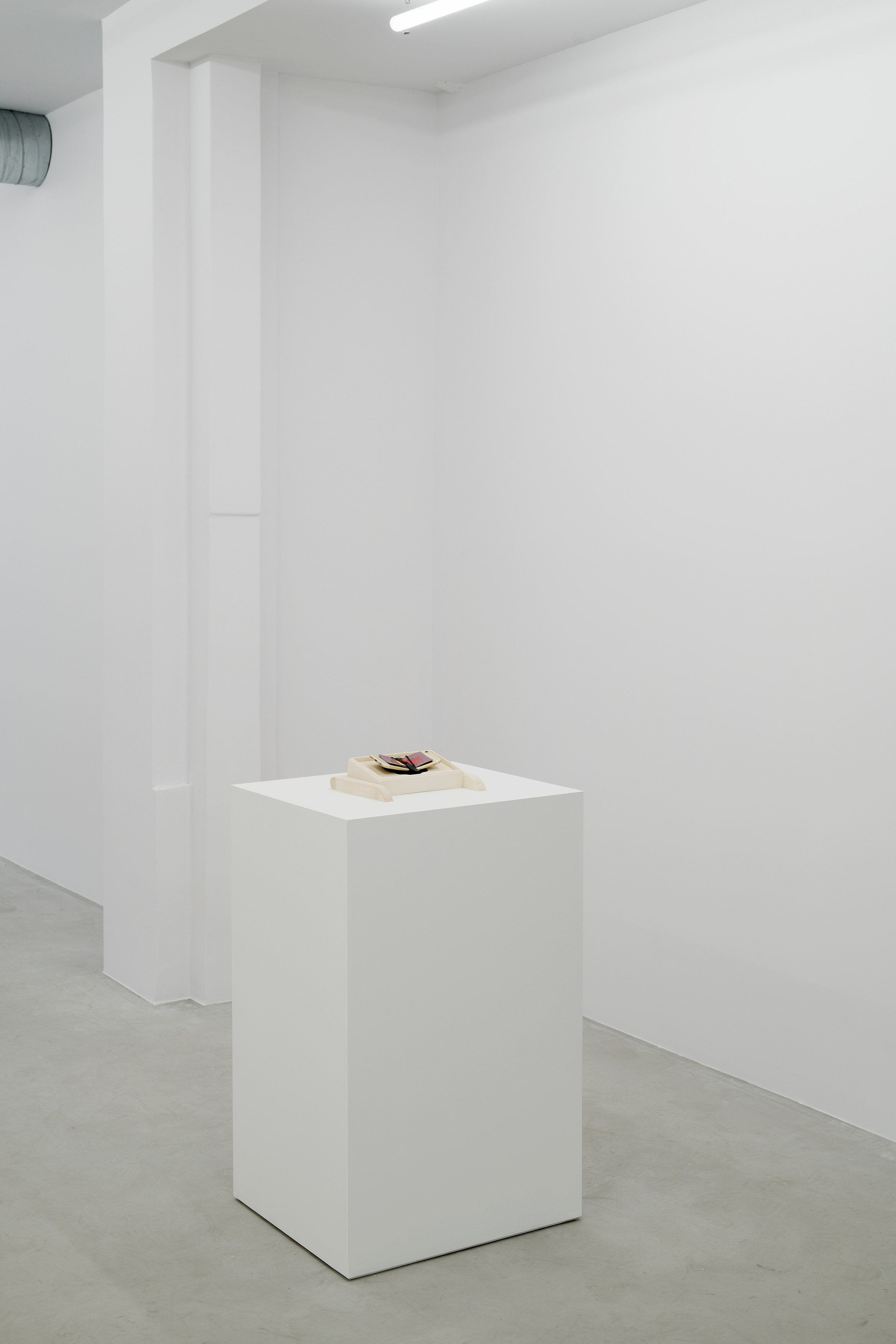 Camille Blatrix, The Goat + Everyone we know at Galerie Balice Hertling, photo 5