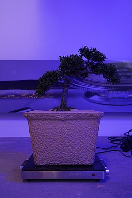 Image 21 of 21