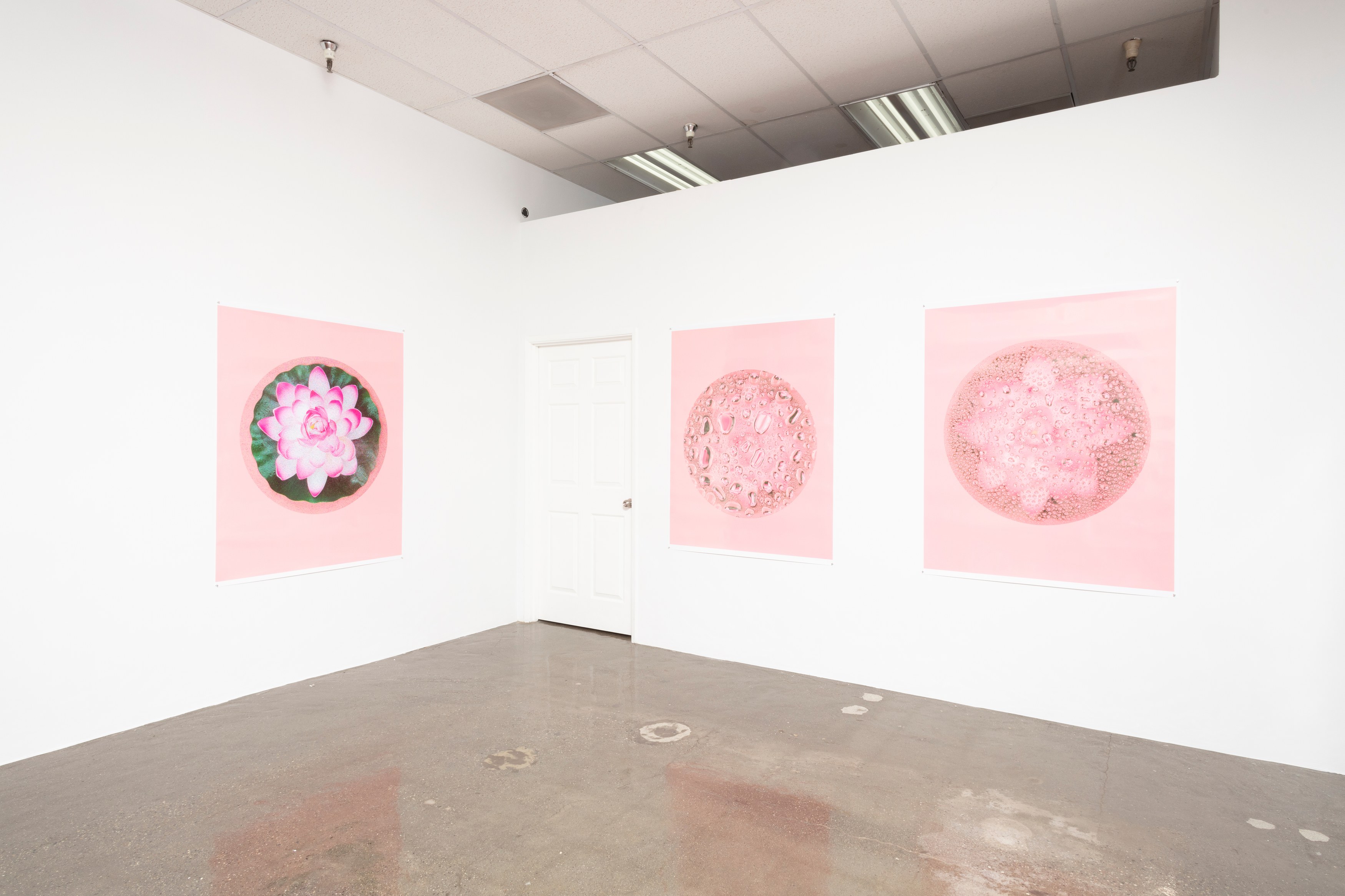 Bingyang Liu, Neither Nor at The Fulcrum, photo 2