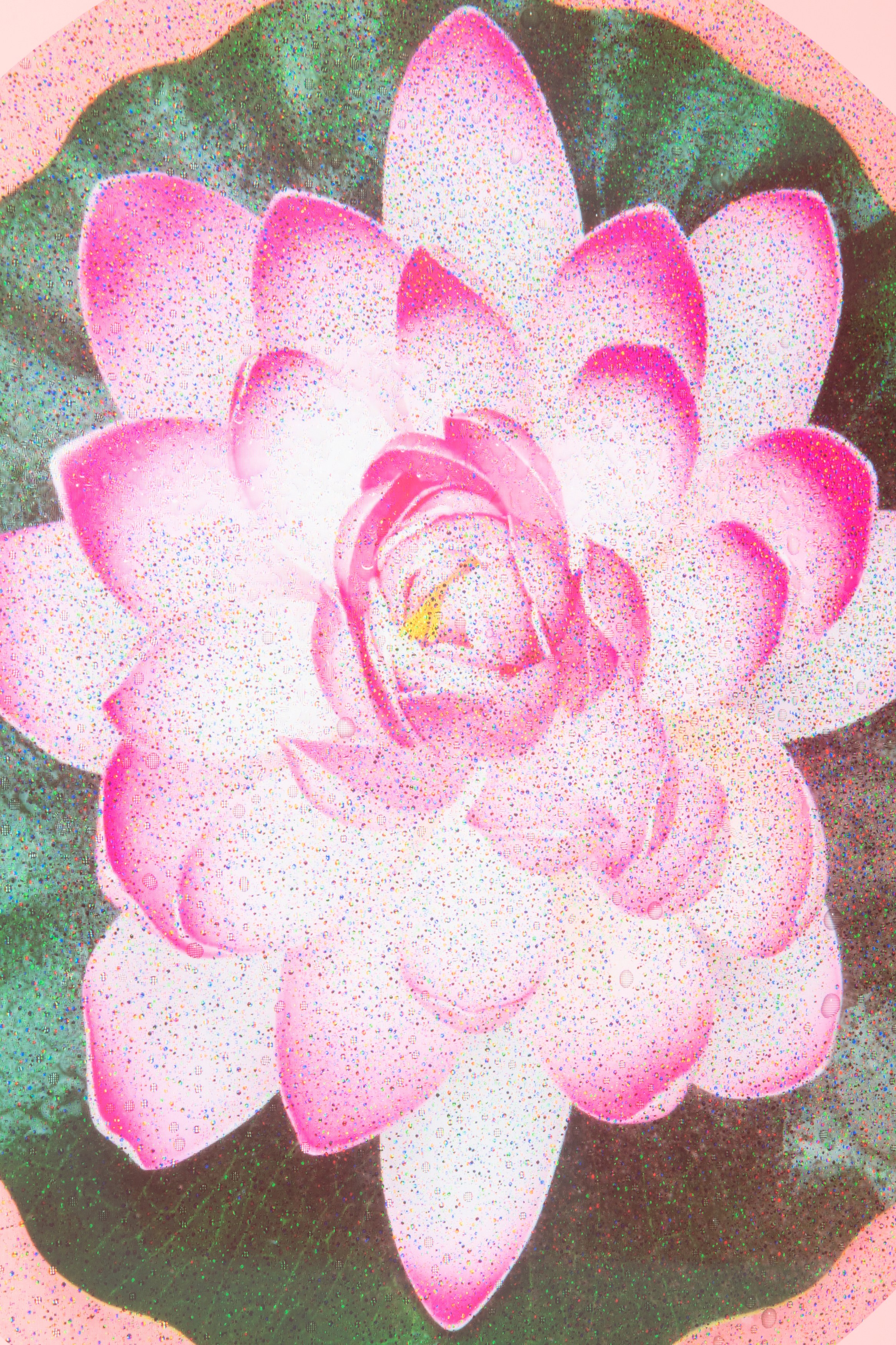 Bingyang Liu, Neither Nor at The Fulcrum, photo 15